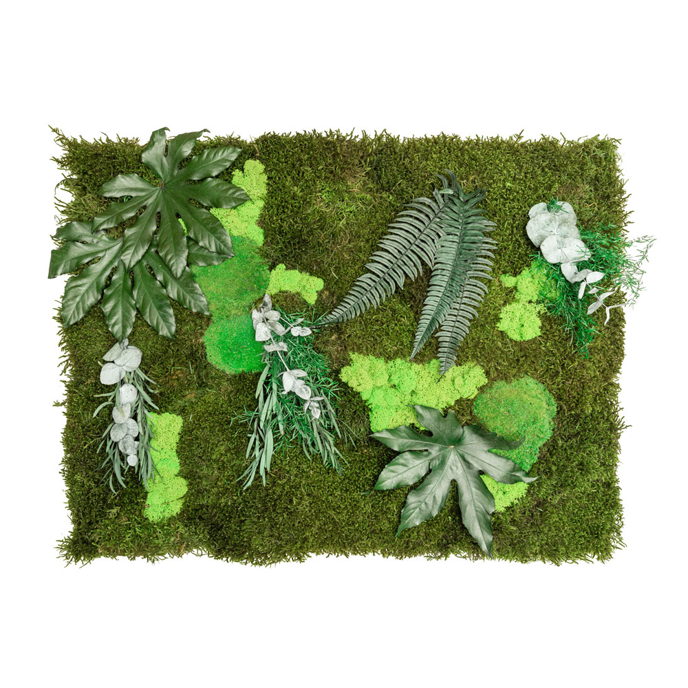 Parete in Moss – Modello Rainforest – Verde Passione 2023 Pareti in muschi, licheni naturali e fronde stabilizzate by Verde Passione