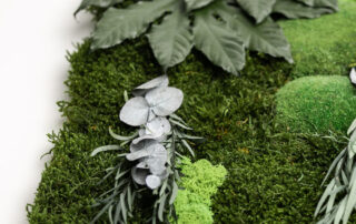 Pareti in muschi, licheni naturali e fronde stabilizzate by Verde Passione