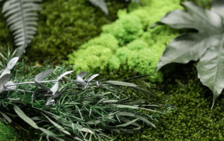 Pareti in muschi, licheni naturali e fronde stabilizzate by Verde Passione