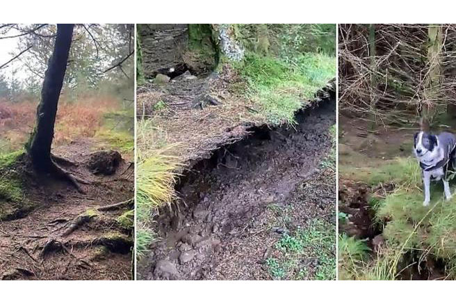 Blog - La storia del bosco che si solleva - Outdoor - Verde Passione