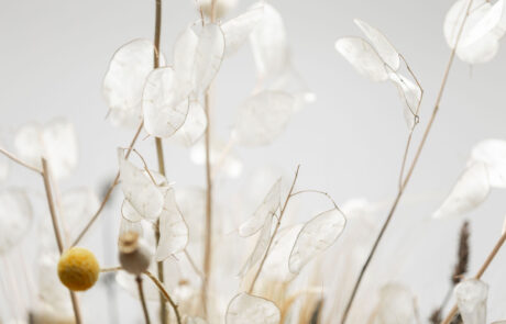 Flower Bouquet - Modello Cream - Disidratato - Verde Passione 2023