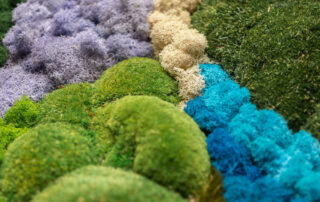 Parete in Moss - Modello Rainbow - Verde Passione 2023
