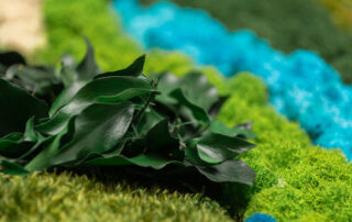 Parete in Moss - Modello Rainbow - Verde Passione 2023