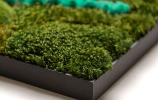 Quadro in Moss stabilizzato modello Tropical Frame, dimensioni, cornice e colore del lichene personalizzabile