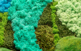 Quadro in Moss stabilizzato modello Tropical Frame, dimensioni, cornice e colore del lichene personalizzabile