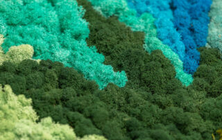 Quadro in Moss stabilizzato modello Tropical Frame, dimensioni, cornice e colore del lichene personalizzabile