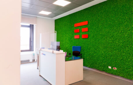Logo Tim su parete in Moss