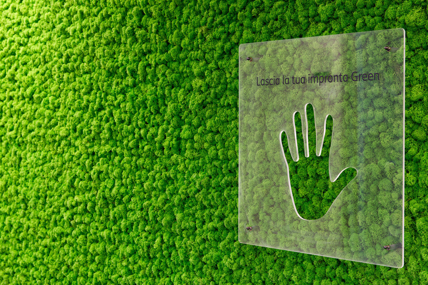 Corporate – TIM – Parete in moss modello Nordica – by Verde Passione Corporate - TIM - Parete in moss modello Nordica - by Verde Passione