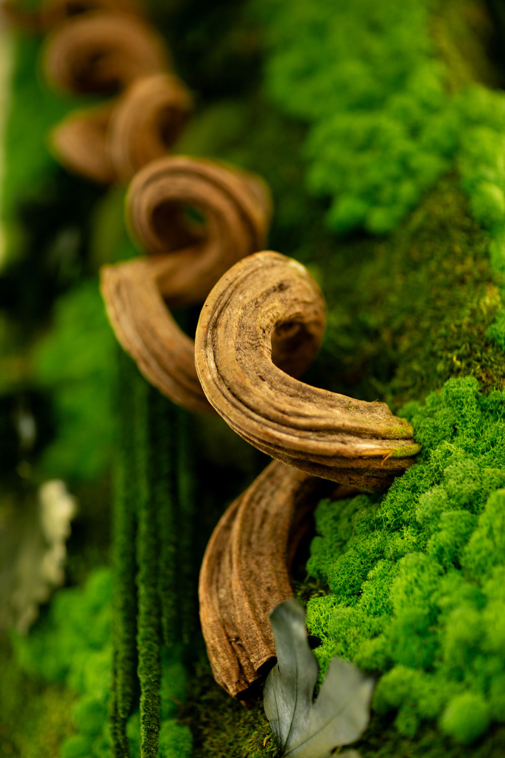 Corporate – TIM – Pilastro rivestito in moss modello Giungla – by Verde Passione Corporate - TIM - Pilastro rivestito in moss modello Giungla - by Verde Passione