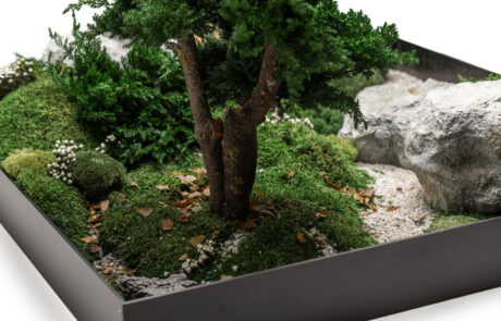 Giardino in Moss - Verde Stabilizzato e Disidratato - Verde Passione 2024