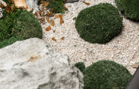 Giardino in Moss - Verde Stabilizzato e Disidratato - Verde Passione 2024