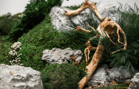 Giardino in Moss - Verde Stabilizzato e Disidratato - Verde Passione 2024