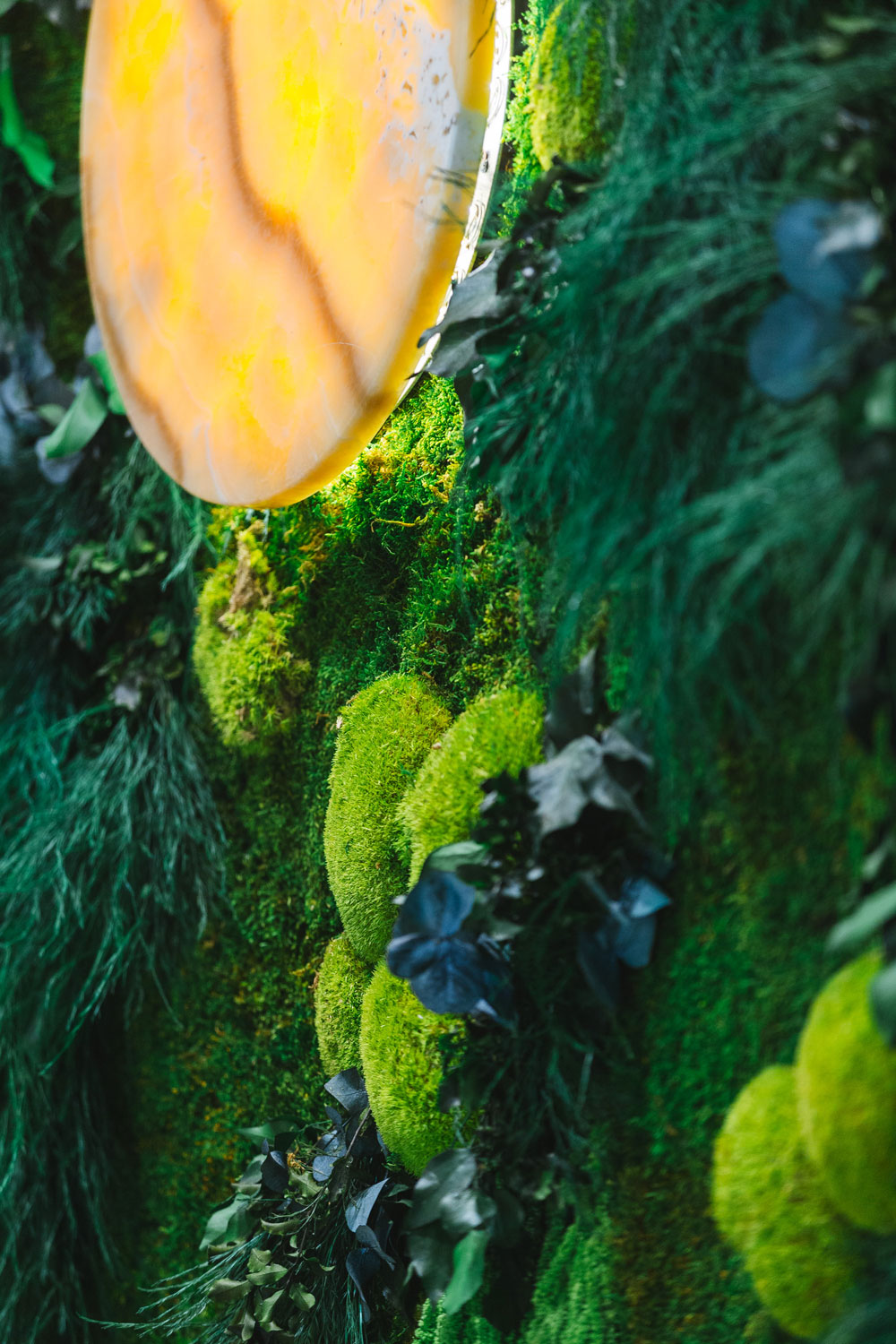 Ho.re.ca – Ristorante Borgia – Pareti in Moss Modello Botany Wall – by Verde Passione Ho.re.ca – Ristorante Borgia – Pareti in Moss Modello Botany Wall – by Verde Passione