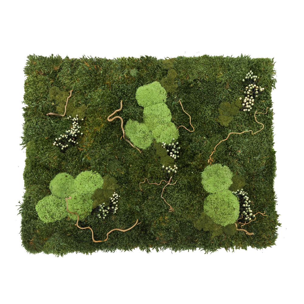 Parete in Moss – Modello Tundra Wall – Verde Stabilizzato – Verde Passione 2024 Parete in Moss - Modello Tundra Wall - Verde Stabilizzato - Verde Passione 2024