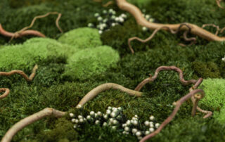 Parete in Moss - Modello Tundra Wall - Verde Stabilizzato - Verde Passione 2024
