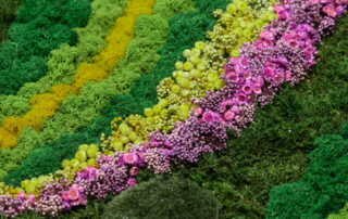 Quadro in Moss stabilizzato modello Spring Frame, dimensioni, cornice e colore del lichene personalizzabile