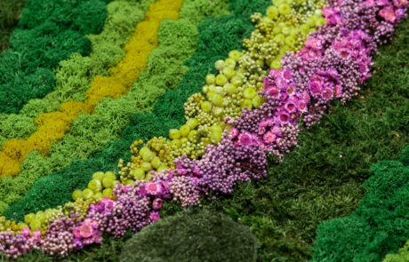 Quadro in Moss stabilizzato modello Spring Frame, dimensioni, cornice e colore del lichene personalizzabile