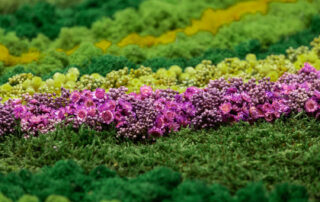 Quadro in Moss stabilizzato modello Spring Frame, dimensioni, cornice e colore del lichene personalizzabile