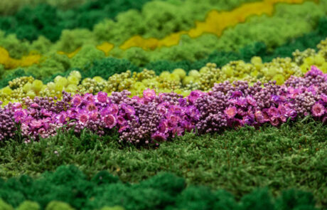 Quadro in Moss stabilizzato modello Spring Frame, dimensioni, cornice e colore del lichene personalizzabile