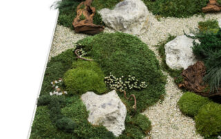 Quadro in Moss stabilizzato modello Zen Frame, dimensioni, cornice e colore del lichene personalizzabile