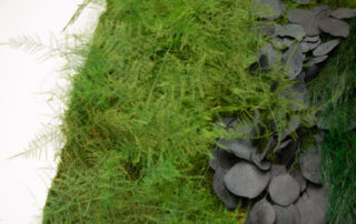 Parete in Moss - Modello Amazzonia Wall - Verde Stabilizzato - Verde Passione 2024