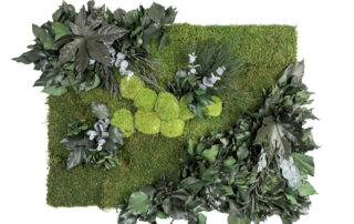 Parete in Moss - Modello Jade Wall - Verde Stabilizzato - Verde Passione 2025