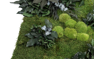 Parete in Moss - Modello Jade Wall - Verde Stabilizzato - Verde Passione 2025