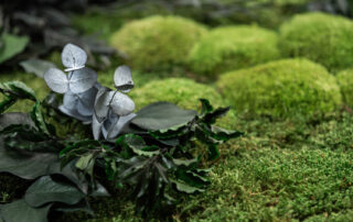 Parete in Moss - Modello Jade Wall - Verde Stabilizzato - Verde Passione 2025