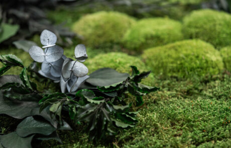 Parete in Moss - Modello Bosco - Verde Stabilizzato - Verde Passione 2025