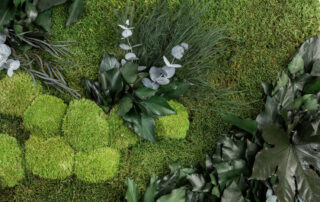 Parete in Moss - Modello Jade Wall - Verde Stabilizzato - Verde Passione 2025