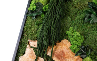 Quadro in Moss stabilizzato modello Mediterranean Frame, dimensioni, cornice e colore del lichene personalizzabile