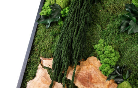 Quadro in Moss stabilizzato modello Mediterranean Frame, dimensioni, cornice e colore del lichene personalizzabile