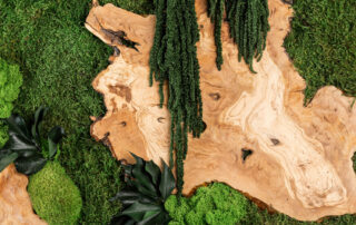 Quadro in Moss stabilizzato modello Mediterranean Frame, dimensioni, cornice e colore del lichene personalizzabile