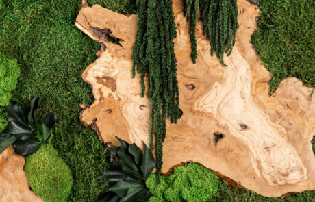 Quadro in Moss stabilizzato modello Mediterranean Frame, dimensioni, cornice e colore del lichene personalizzabile