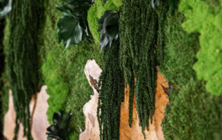 Quadro in Moss stabilizzato modello Mediterranean Frame, dimensioni, cornice e colore del lichene personalizzabile