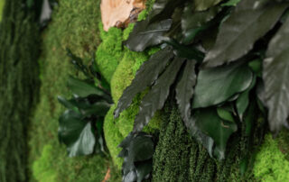 Quadro in Moss stabilizzato modello Mediterranean Frame, dimensioni, cornice e colore del lichene personalizzabile