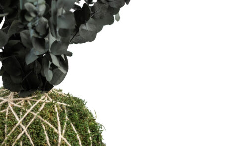 Kokedama - Modello Eucalyptus - Verde Stabilizzato - Verde Passione 2025