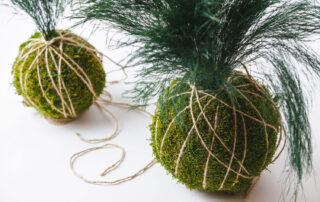 Kokedama - Modello Felce Tiki - Verde Stabilizzato - Verde Passione