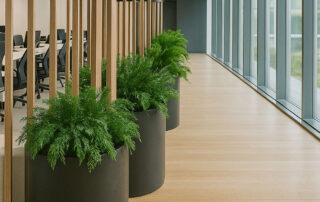 Ispirazioni - Proposte Render Verde Passione in Moss