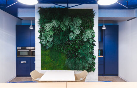 Corporate - 2k Engineering - Parete Foresta Vergine - by Verde Passione