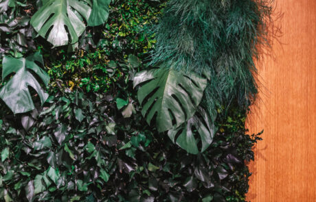 Corporate - 2k Engineering - Parete Foresta Vergine - by Verde Passione