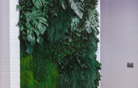 Corporate - 2k Engineering - Parete Foresta Vergine - by Verde Passione