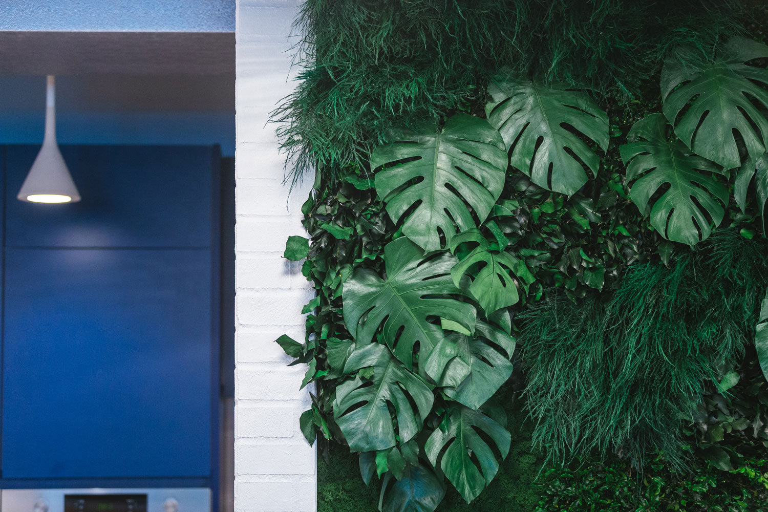 Corporate - 2k Engineering - Parete Foresta Vergine - by Verde Passione