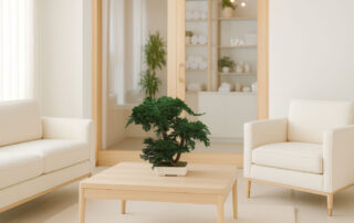 Bonsai naturale stabilizzato by Verde Passione