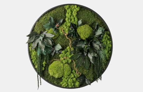 Quadro circolare in moss stabilizzato modello giungla