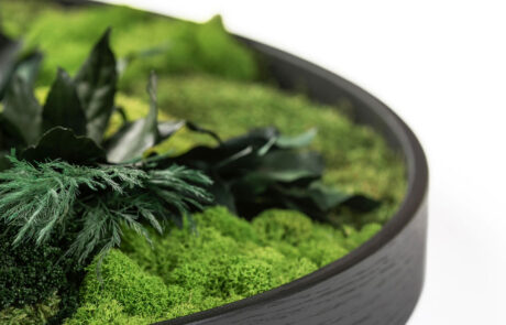Quadro circolare in moss stabilizzato modello giungla