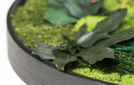 Quadro circolare in moss stabilizzato modello giungla