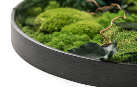 Quadro circolare in moss stabilizzato modello giungla