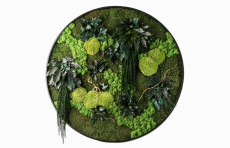Quadro circolare in moss stabilizzato modello giungla