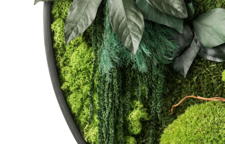 Quadro circolare in moss stabilizzato modello giungla
